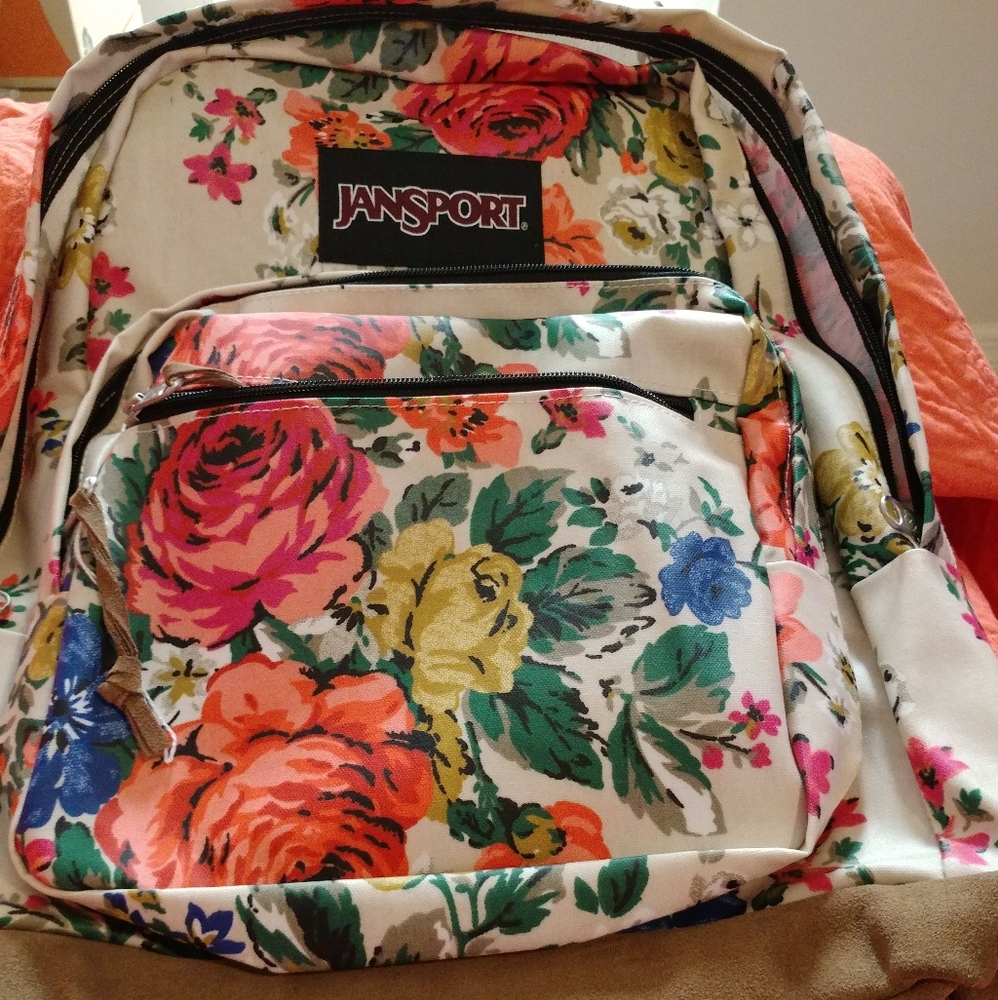 Backpack no stains flaws or tears .from smoke-free